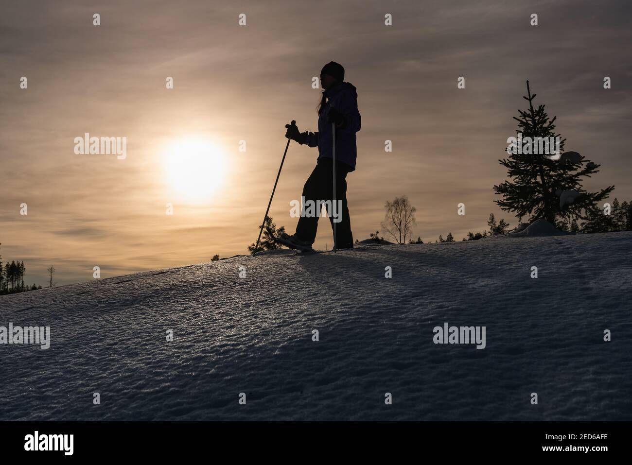 Schöne Seitenansicht einer Silhouette mit Skistöcken von reifen Frau Wandern im Winterwald. Rot gelb Sonnenuntergang, flauschiger Schneehang, junge Tanne, Schnee Stockfoto
