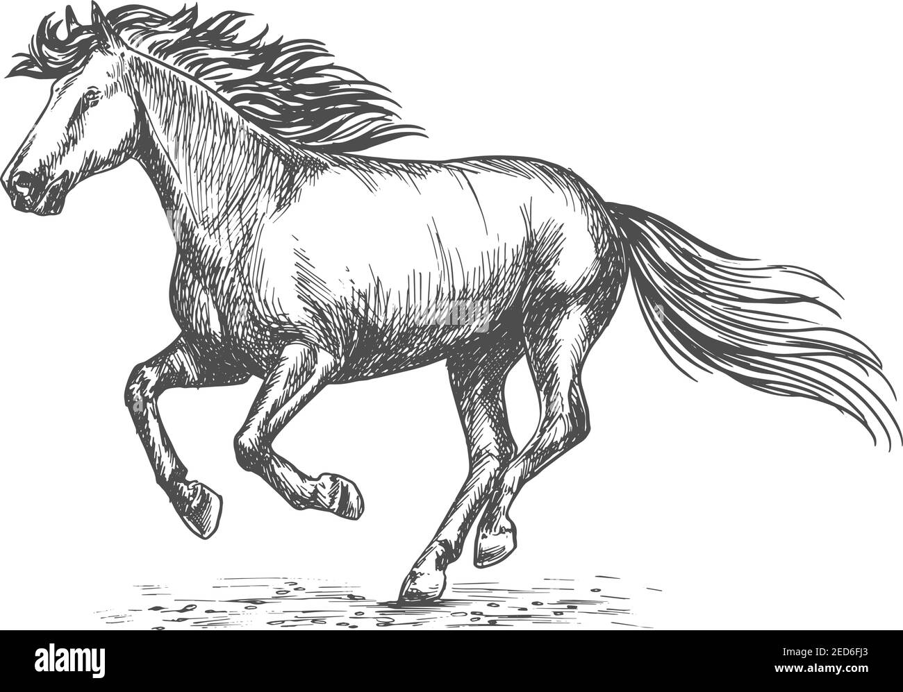 Portrait von weißen starken Pferd galoppieren auf Sportrennen. Vektor-Emblem von skizzierten Hengst Mustang für Pferderennen, Dekoration Gravur Design Stock Vektor