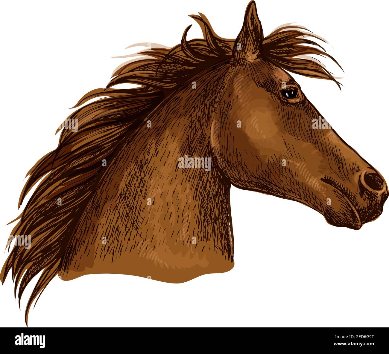 Pferdeportrait. Braunes Pferd Profil mit welliger Mähne suchen mit schönen Augen. Künstlerische Vektorgrafik Skizze Porträt Stock Vektor