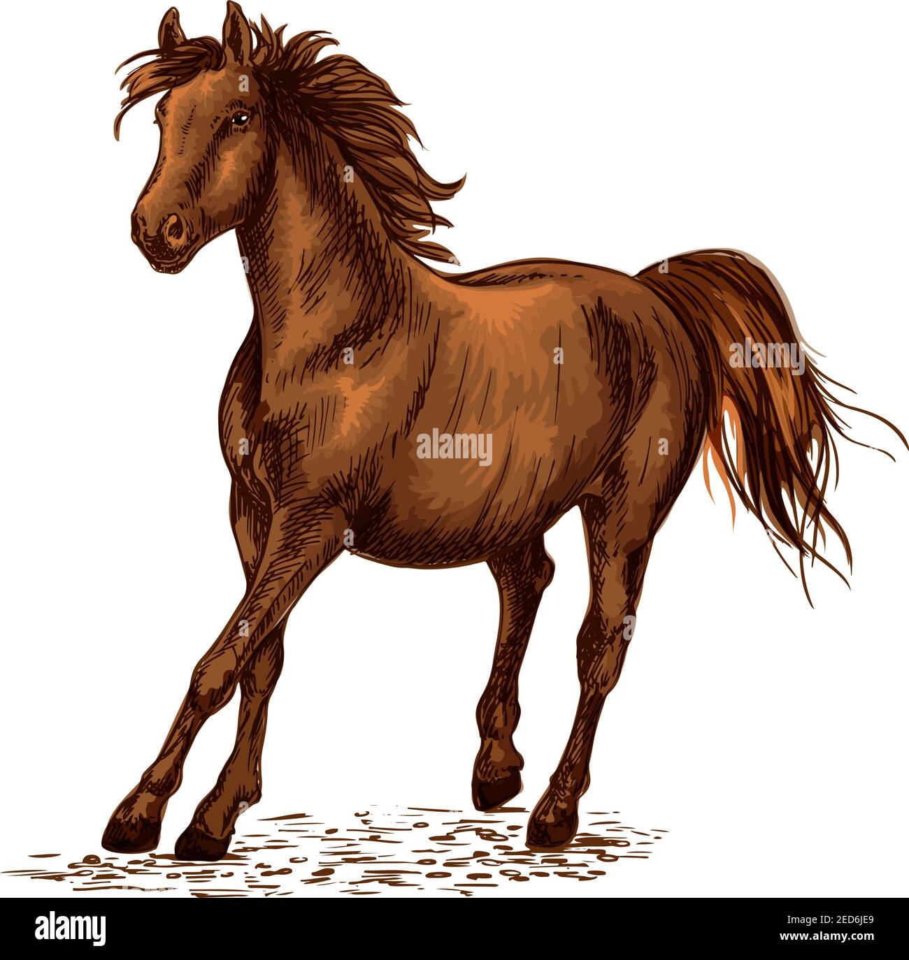 Arabischer brauner Hengst galoppiert auf Pferderennen. Vektor-Emblem des Pferdes für den Sport. Porträt des Ranch-Pferdes. Starke Bucht Mustang laufen frei in w Stock Vektor