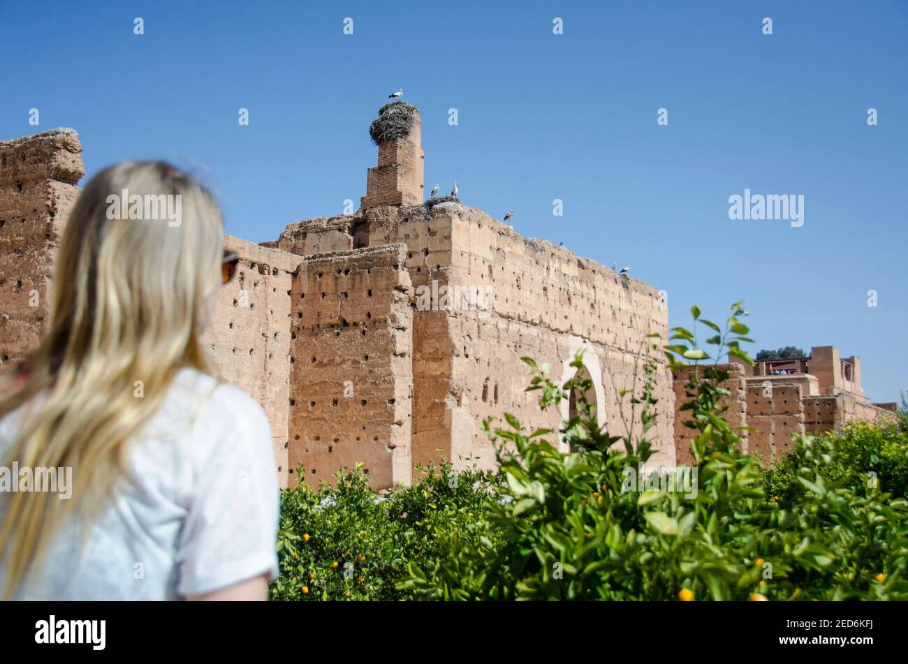 Junge blonde Frau Touristen beobachten Störche auf einem Dach in Marrakesch Stockfoto