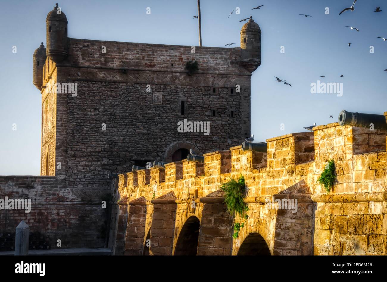 Burgmauer in der Sonne Stockfoto