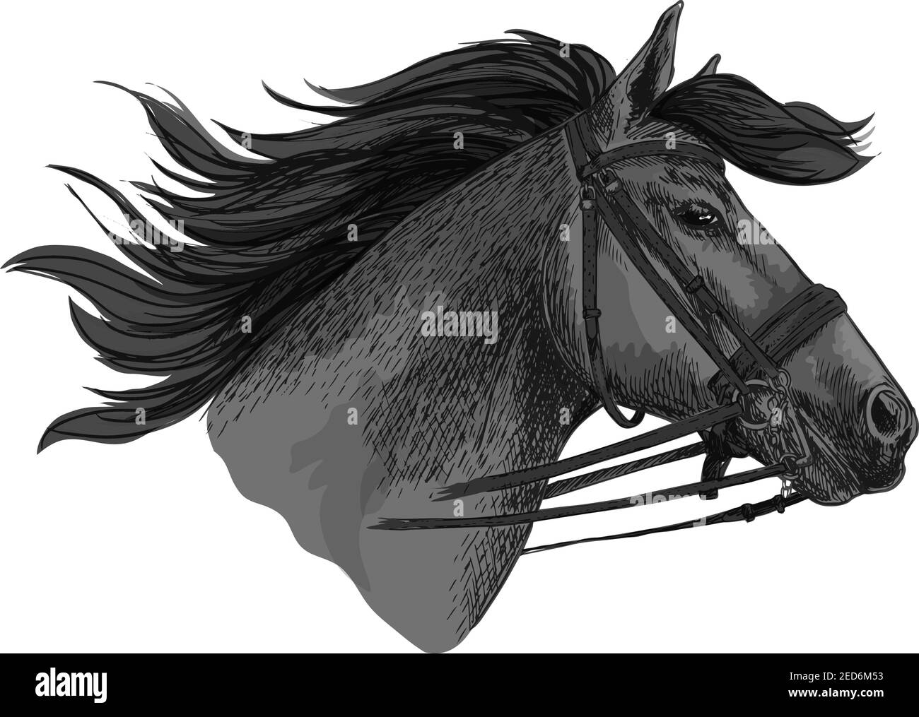 Pferd im Zaumzeug läuft auf Rennen. Mustang Trotter Racing Vektor Skizze. Hengst Kopf Symbol für Sport Pferderennen. Reiten Rennen Reitverein, Pferd Stock Vektor