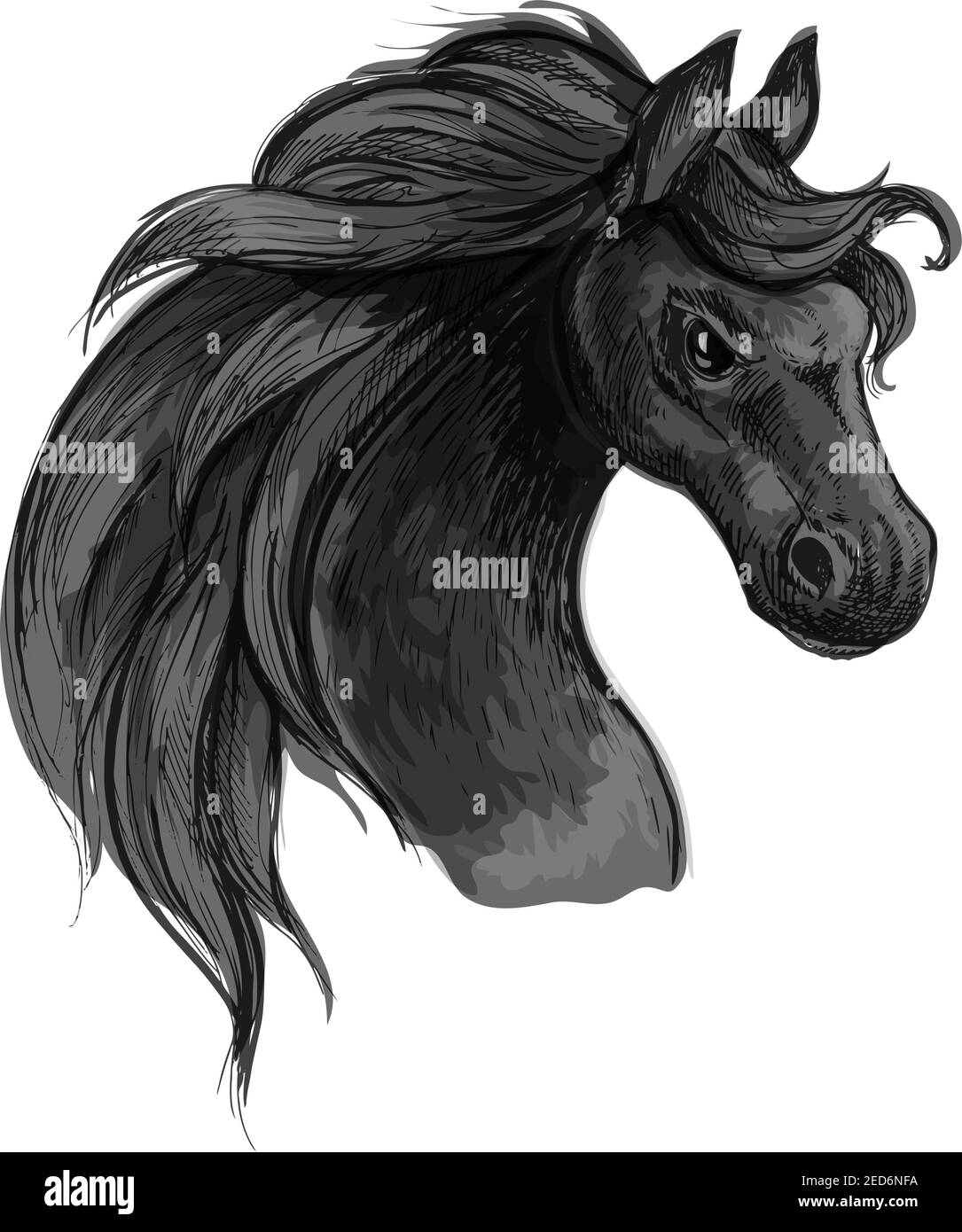 Wildes schwarzes Pferd. Wütende Mustang mit aufgefackerten Nasenlöchern und brennenden grimmigen Augen. Vektorskizze im Hochformat Stock Vektor