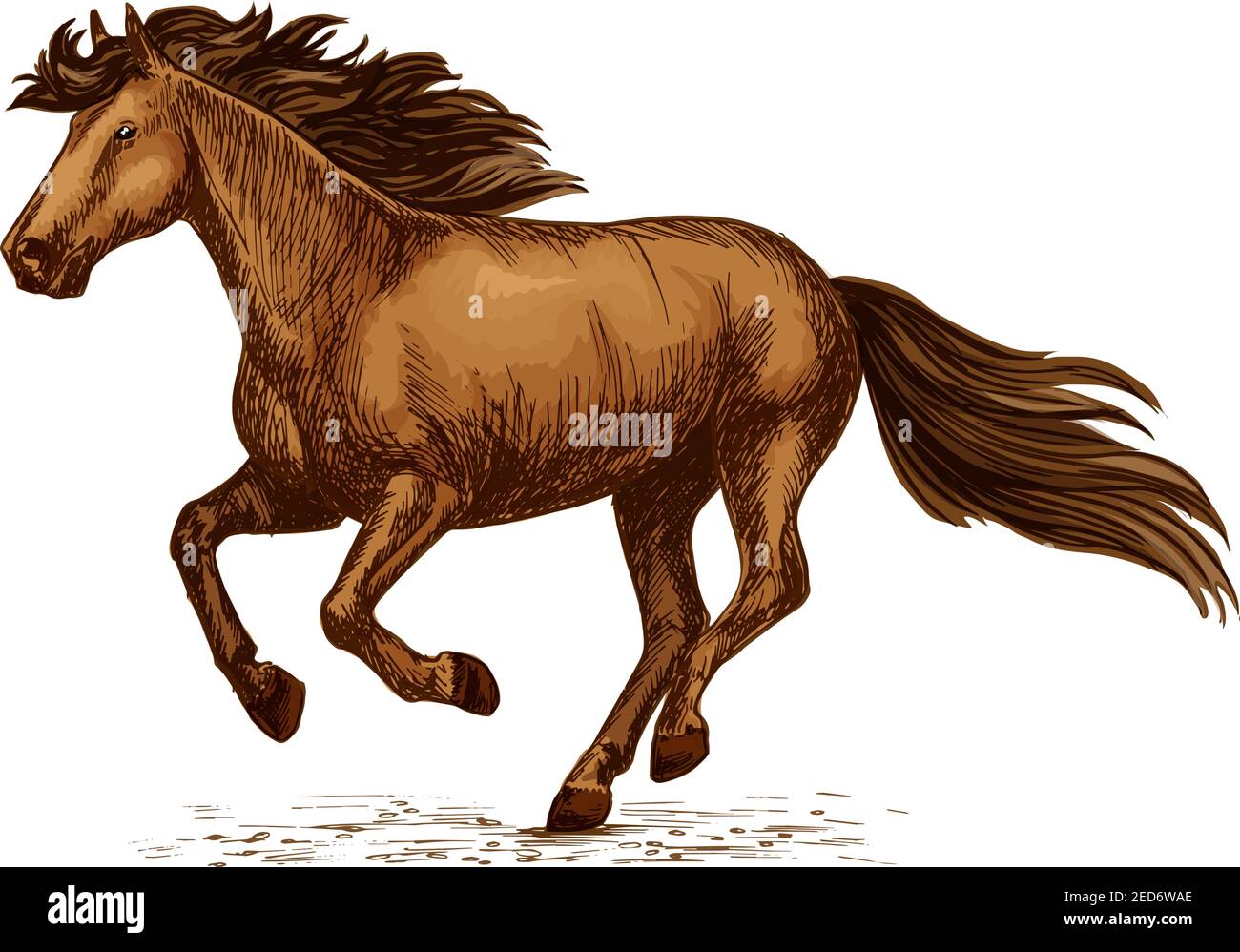 Vektorskizze für Pferderennen. Arabian Mustang Laufen oder Galoppieren auf Sportrennen. Braun wild oder Bauernhof Hengst Symbol für Reiten Reiten cl Stock Vektor