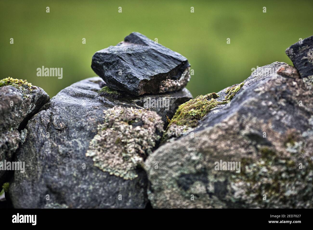 Moosbedeckte Trockensteinmauer auf der Insel skye, schottland. Stockfoto