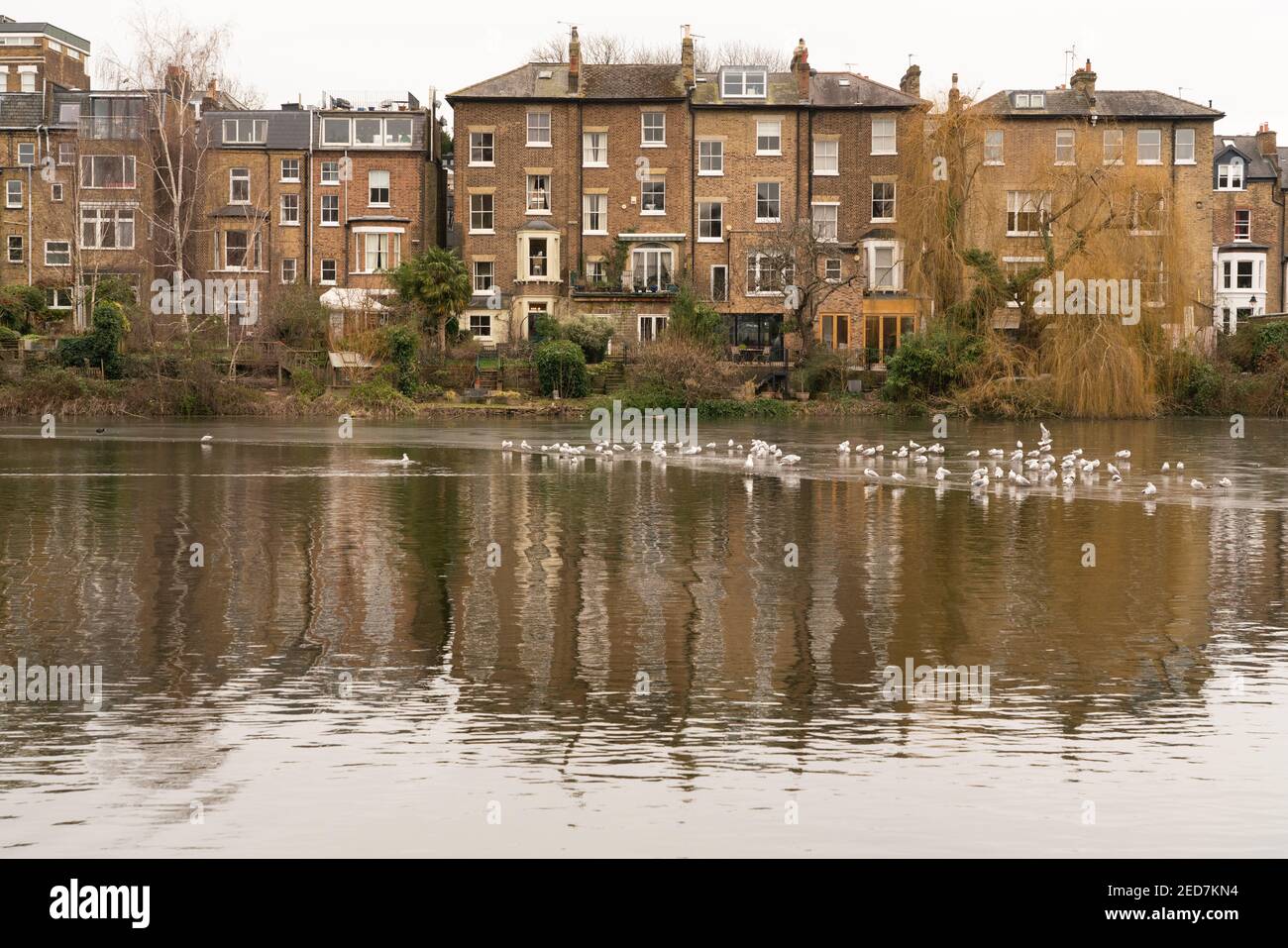 Hampstead Heide Menschen gehen für ihre tägliche Bewegung Stockfoto