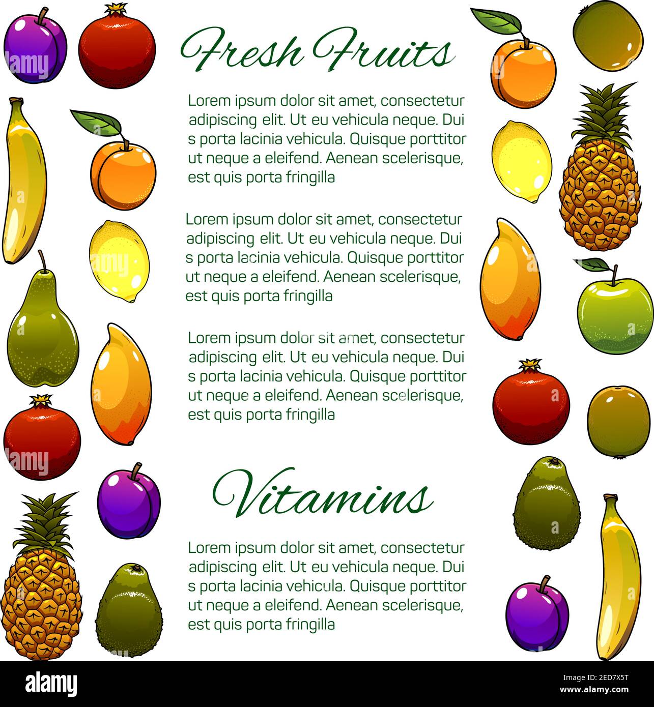 Obst-Banner. Vector frische Bio-Obst-Ernte von reifen Ananas, exotische Mango, tropische Kiwi und Banane, Birne oder Avocado, Zitrone, Orange oder ta Stock Vektor