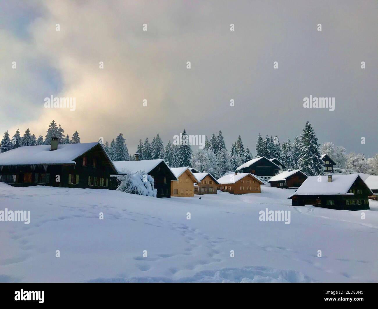 Die Hütten liegen direkt an der frisch verschneiten Skipiste. Feriendorf mit alpinen Holzhäusern vor einem schneebedeckten Tannenwald. Bödele Stockfoto