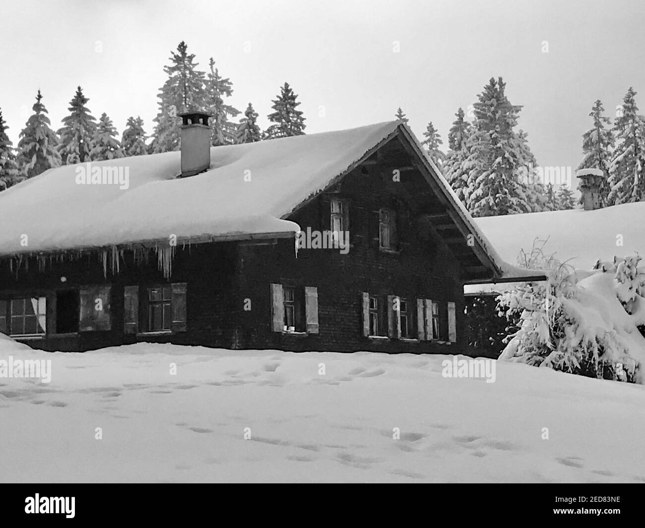 Die Hütten liegen direkt an der frisch verschneiten Skipiste. Feriendorf mit alpinen Holzhäusern vor einem schneebedeckten Tannenwald. Bödele Stockfoto