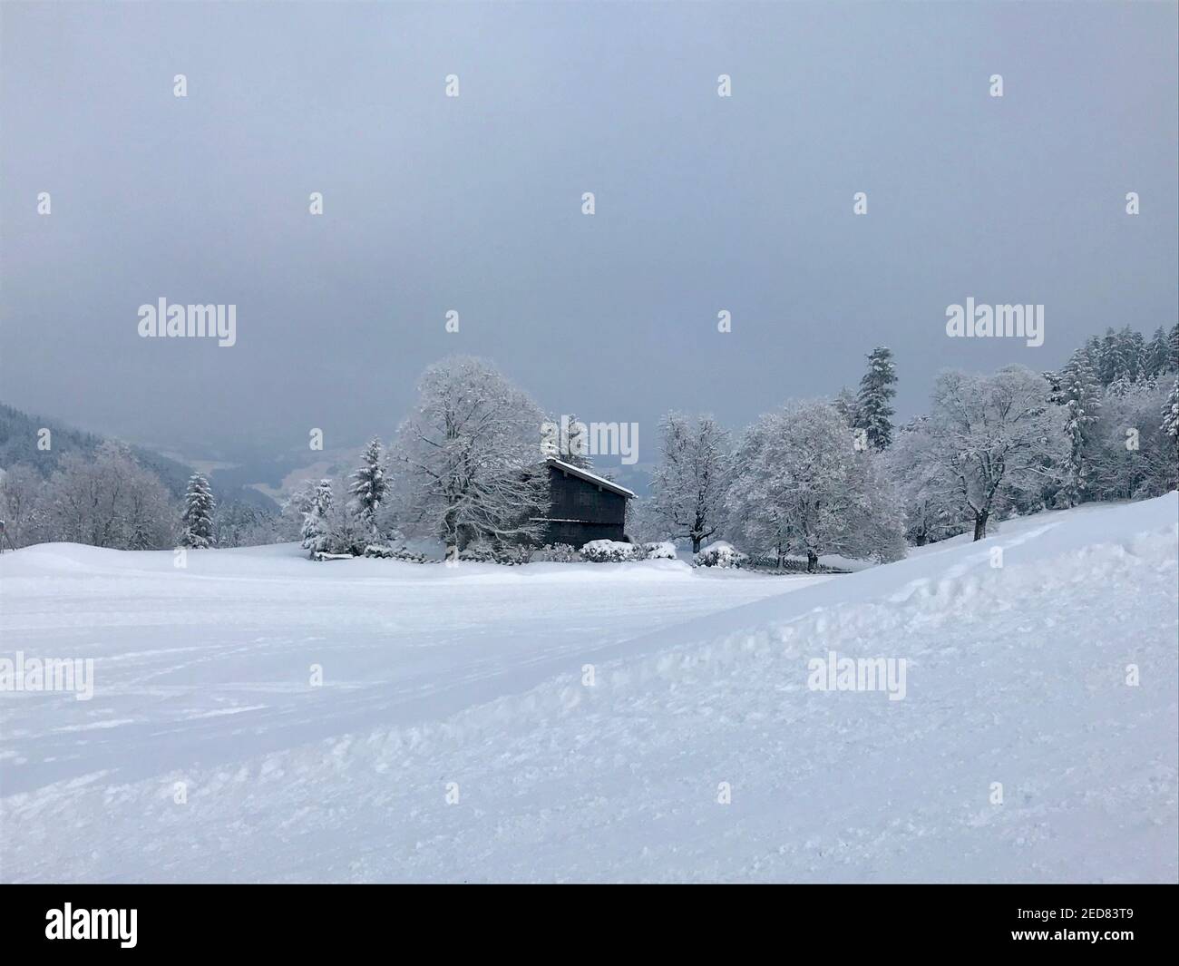 Einfamilienhaus mit verschneiten Bäumen im Winterwunderland. Die Holzhütte liegt direkt an der frisch verschneiten Skipiste. Bödele, Dornbirn Stockfoto