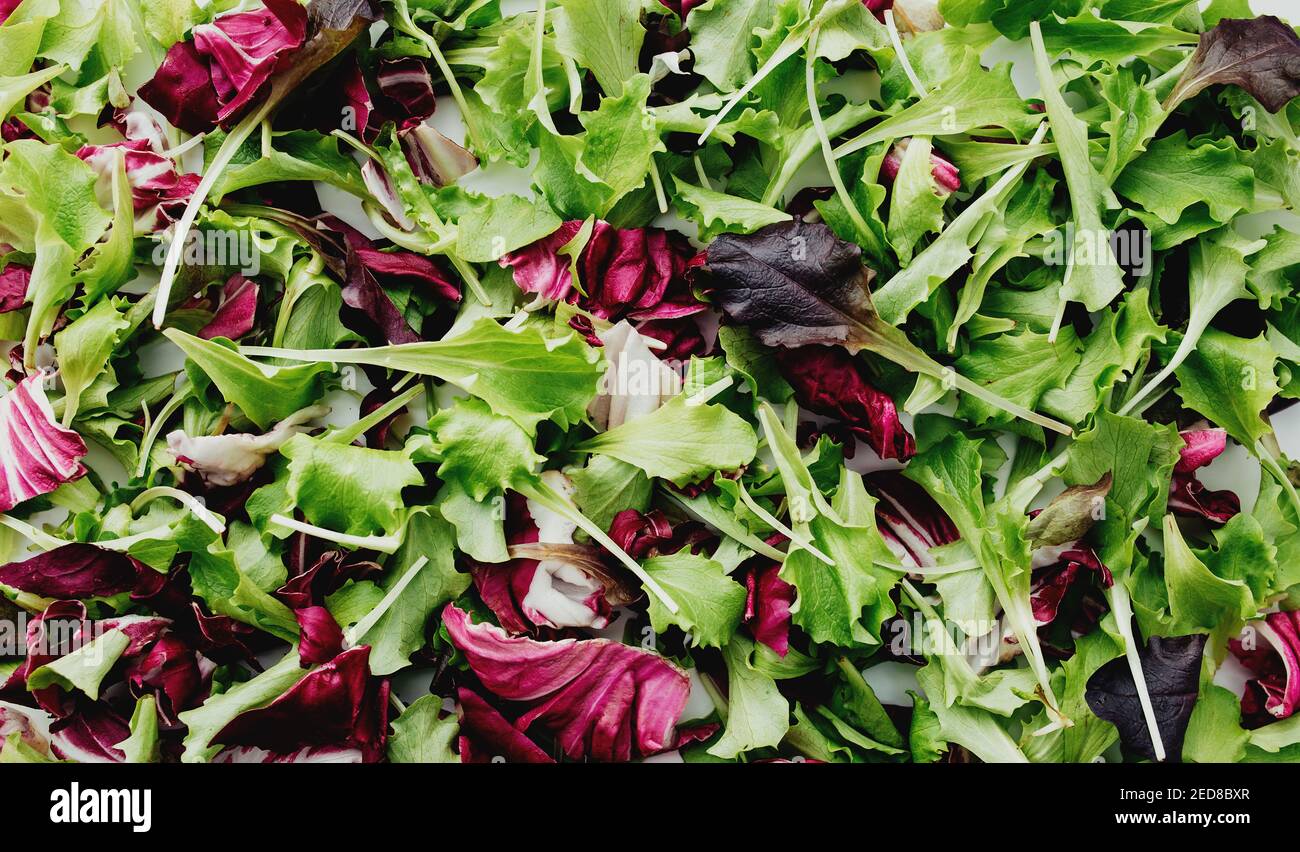 Grün und lila Salatblätter mischen Hintergrund. Hochwertige Fotos Stockfoto