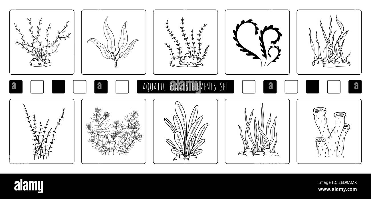 Abstrakte Handzeichnung von Wasserpflanzen Elemente Design von Element-Set. Freistil der Zeichnung für Symbol und verwenden Hintergrund. Stock Vektor