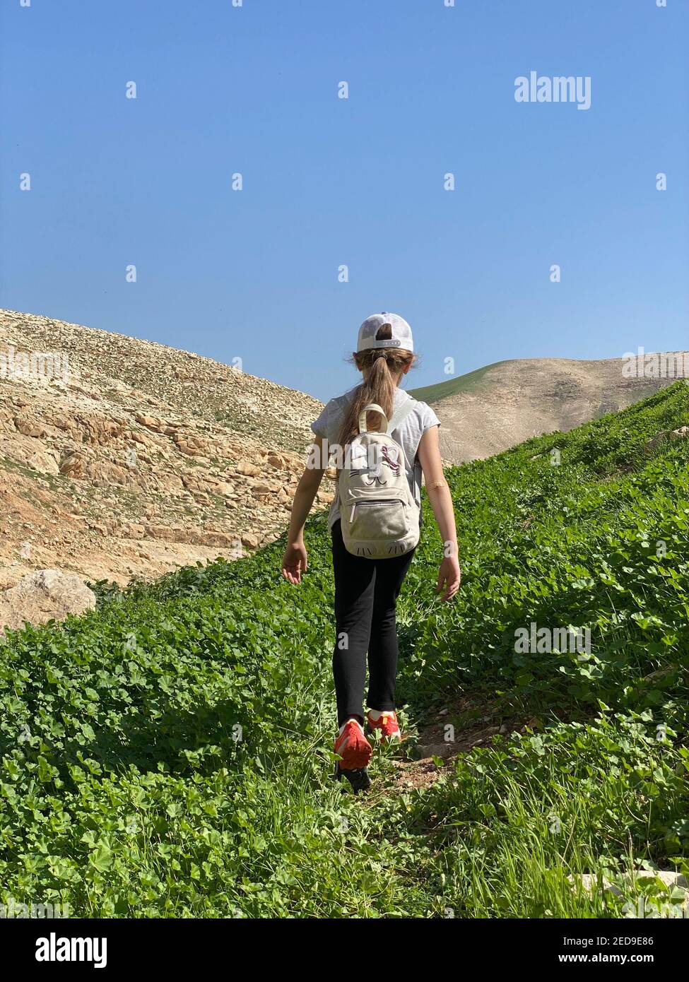 Kleines Mädchen mit Rucksack Wandern in malerischen Bergen Stockfoto