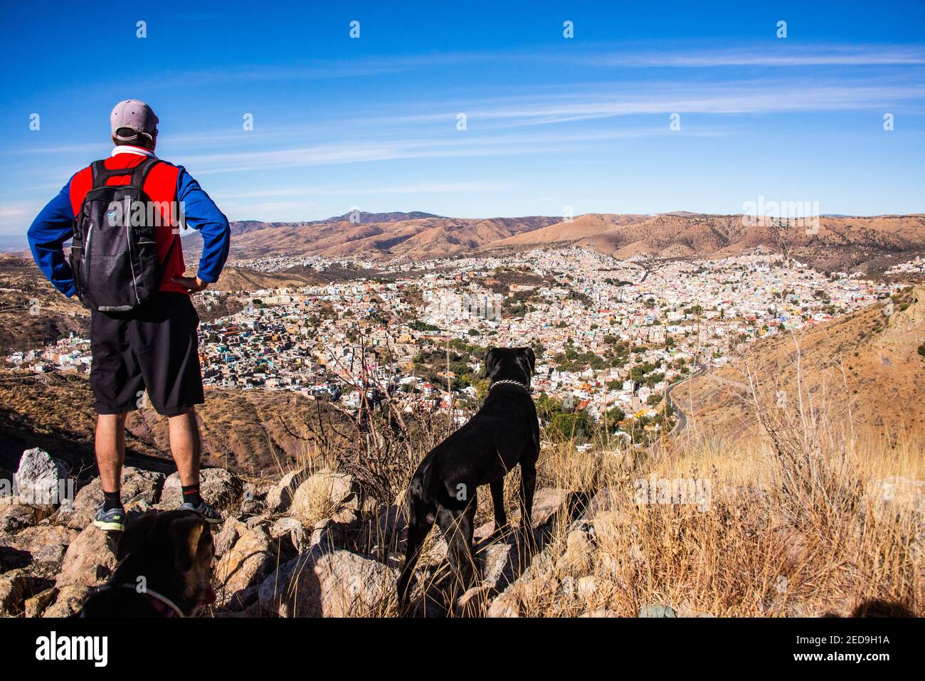 Ein Trekker mit seinem Hund, der die wunderschöne Aussicht über Guanajuato City, Guanajuato State, Mexiko, betrachtet Stockfoto