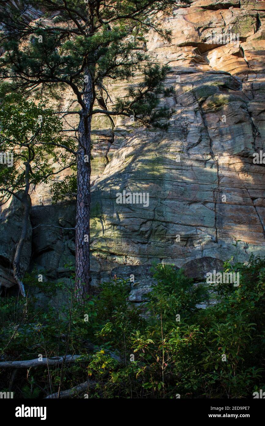 Nahaufnahme von Big Pinnacle, Pilot Mountain State Park, North Carolina Stockfoto