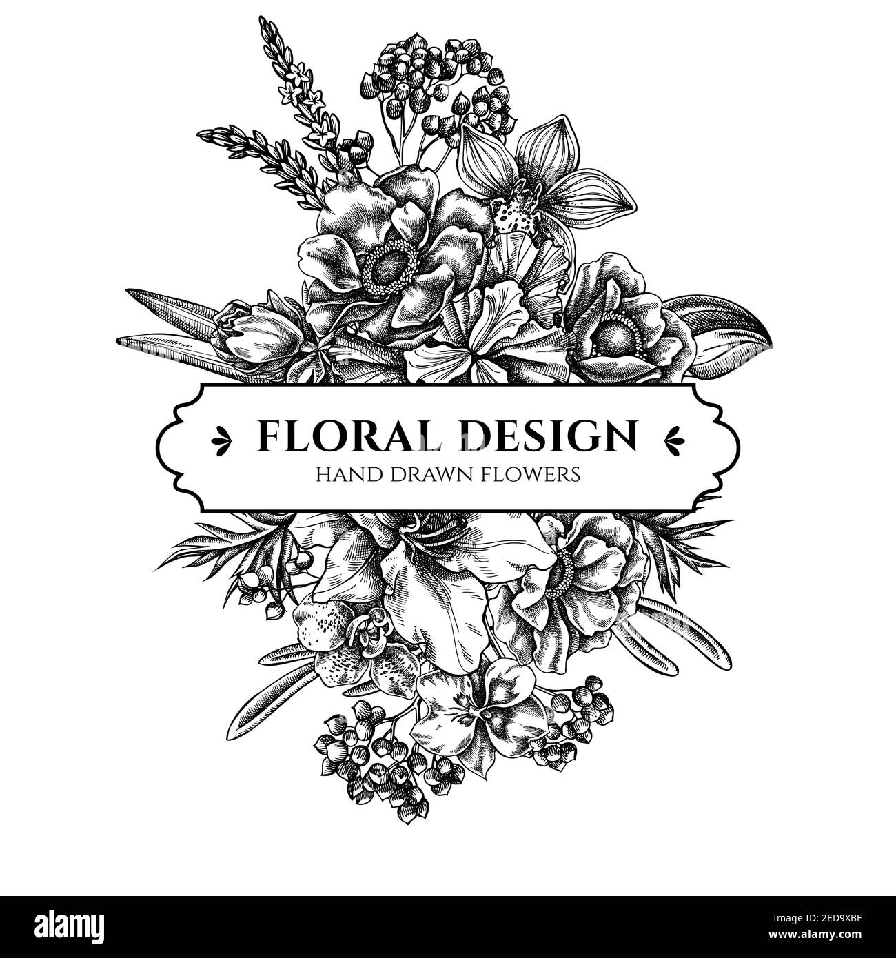 Florales Bouquet mit schwarzer und weißer Anemone, Lavendel, Rosmarin Everlasting, Phalaenopsis, Lilie, Iris Stock Vektor