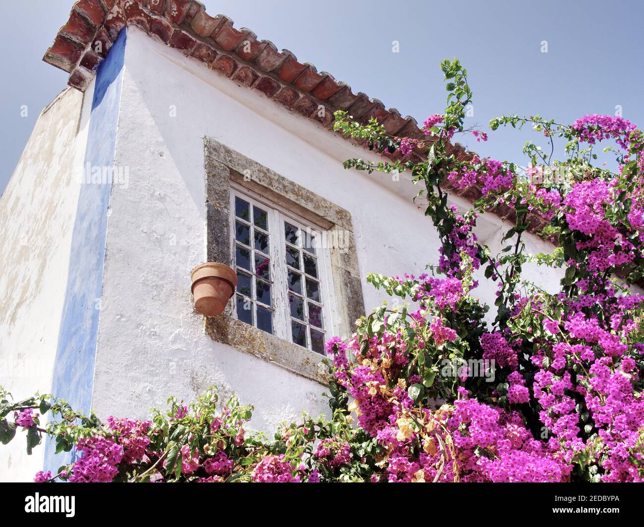 Obidos, Portugal, weißes Haus, Blumen Stockfoto