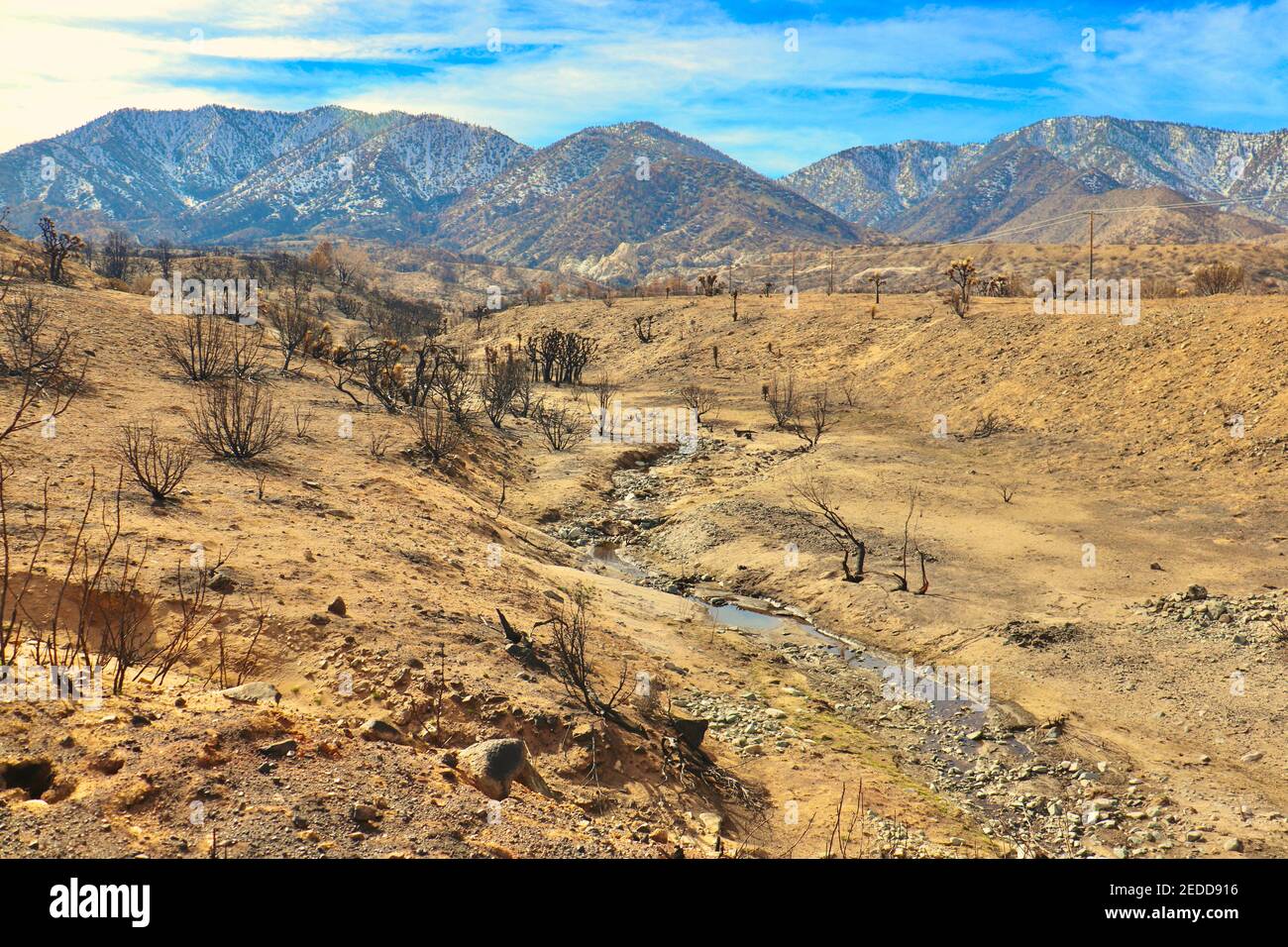 Nachwirkungen der kalifornischen Brände 2020 im Angeles National Forest. Fotos aufgenommen in der Nähe der Devils Punchbowl Wanderweg Februar 2021. Stockfoto