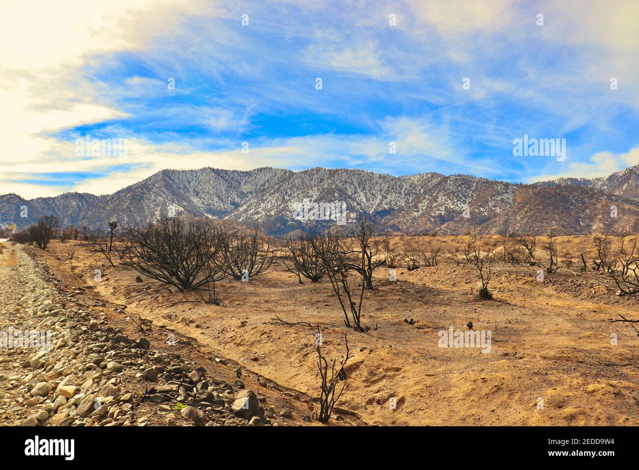 Nachwirkungen der kalifornischen Brände 2020 im Angeles National Forest. Fotos aufgenommen in der Nähe der Devils Punchbowl Wanderweg Februar 2021. Stockfoto