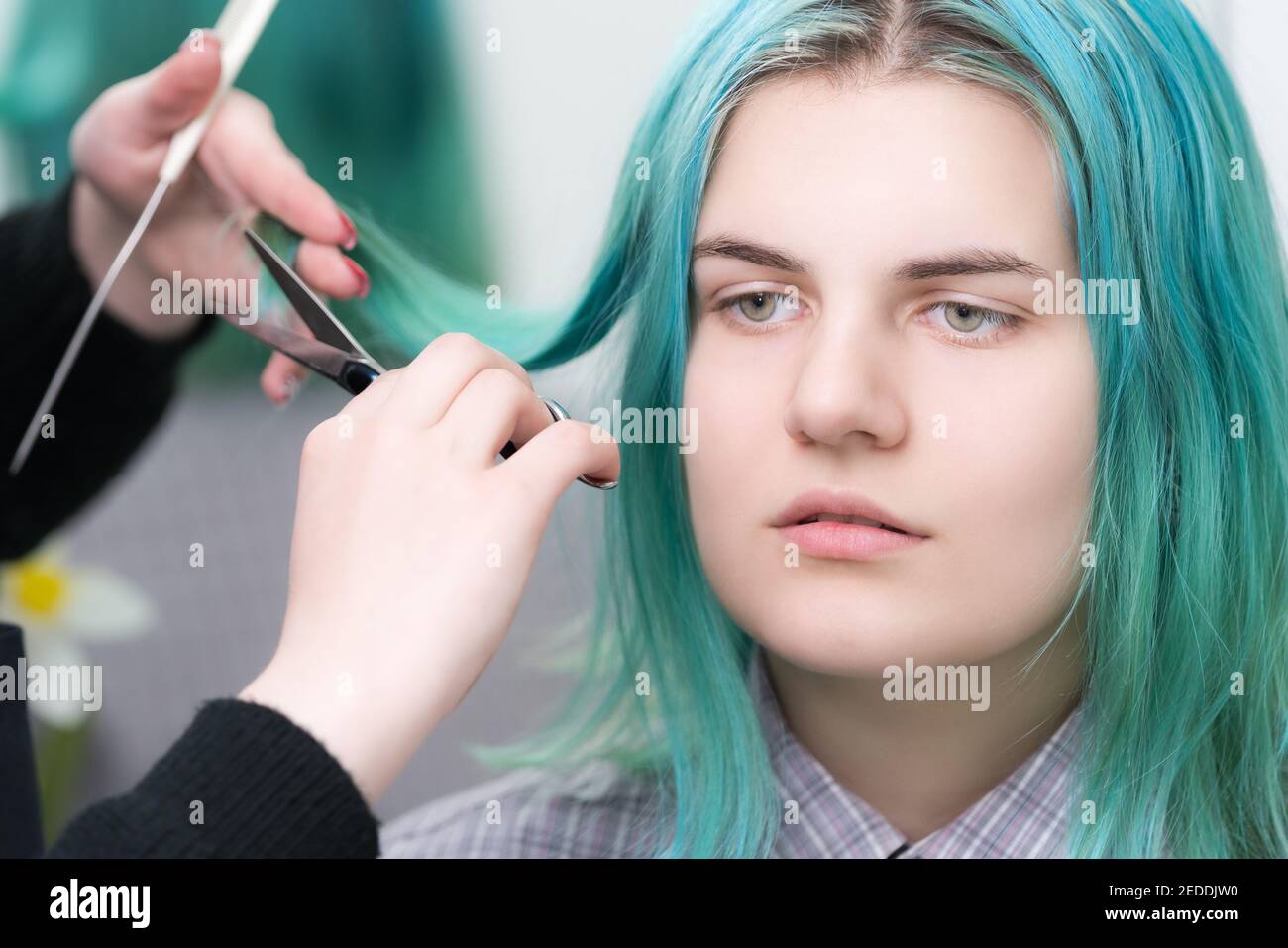 Hairstylistin Hände schneiden Haar der Schönheit Frau mit langen grünen Haaren mit Schere. Haarpflege im professionellen Schönheitssalon Stockfoto