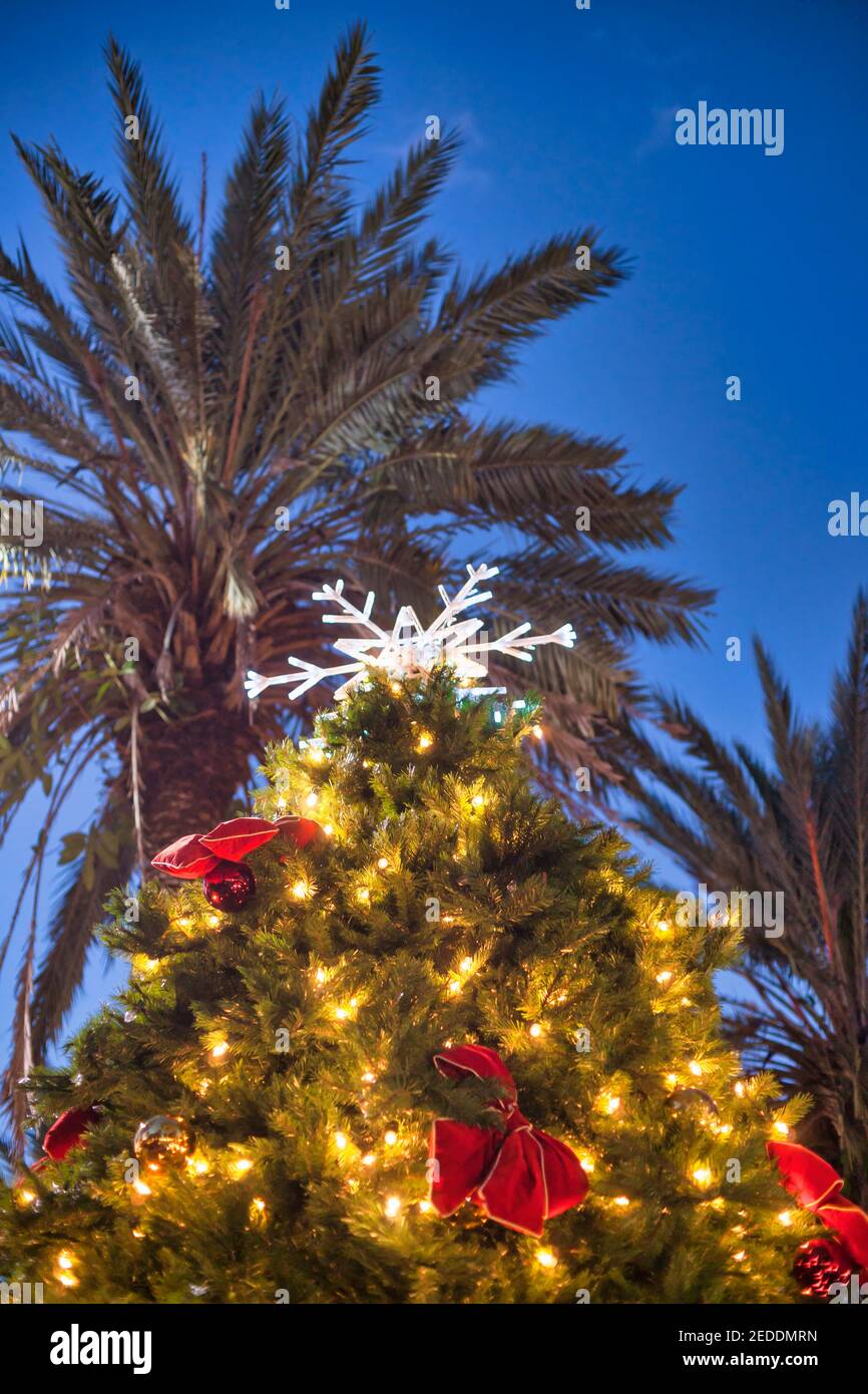Weihnachtsbaum Mit Palmen Am Strand Stockfotos Und Bilder Kaufen Alamy