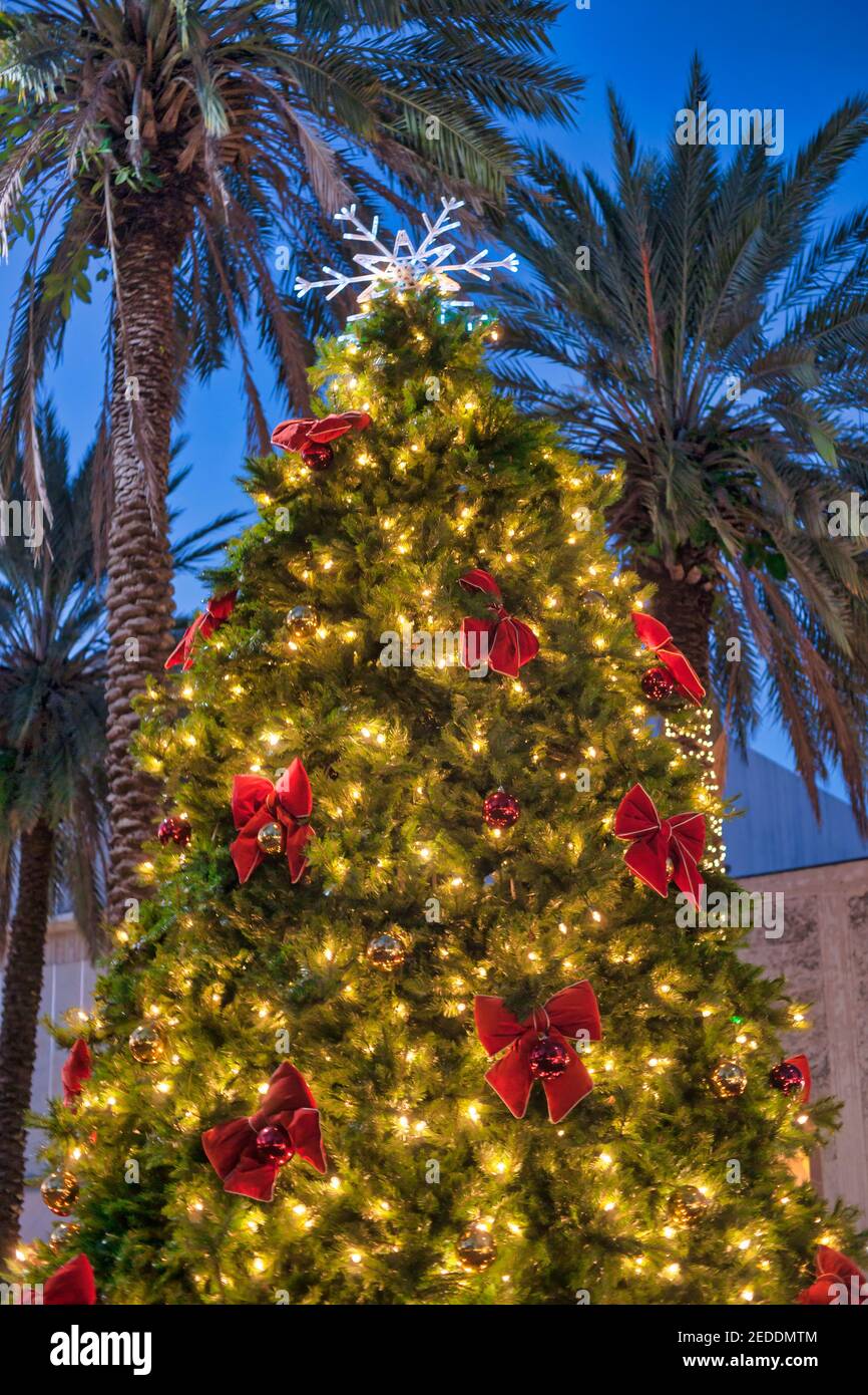 Weihnachtsbaum Mit Palmen Am Strand Stockfotos Und Bilder Kaufen Alamy