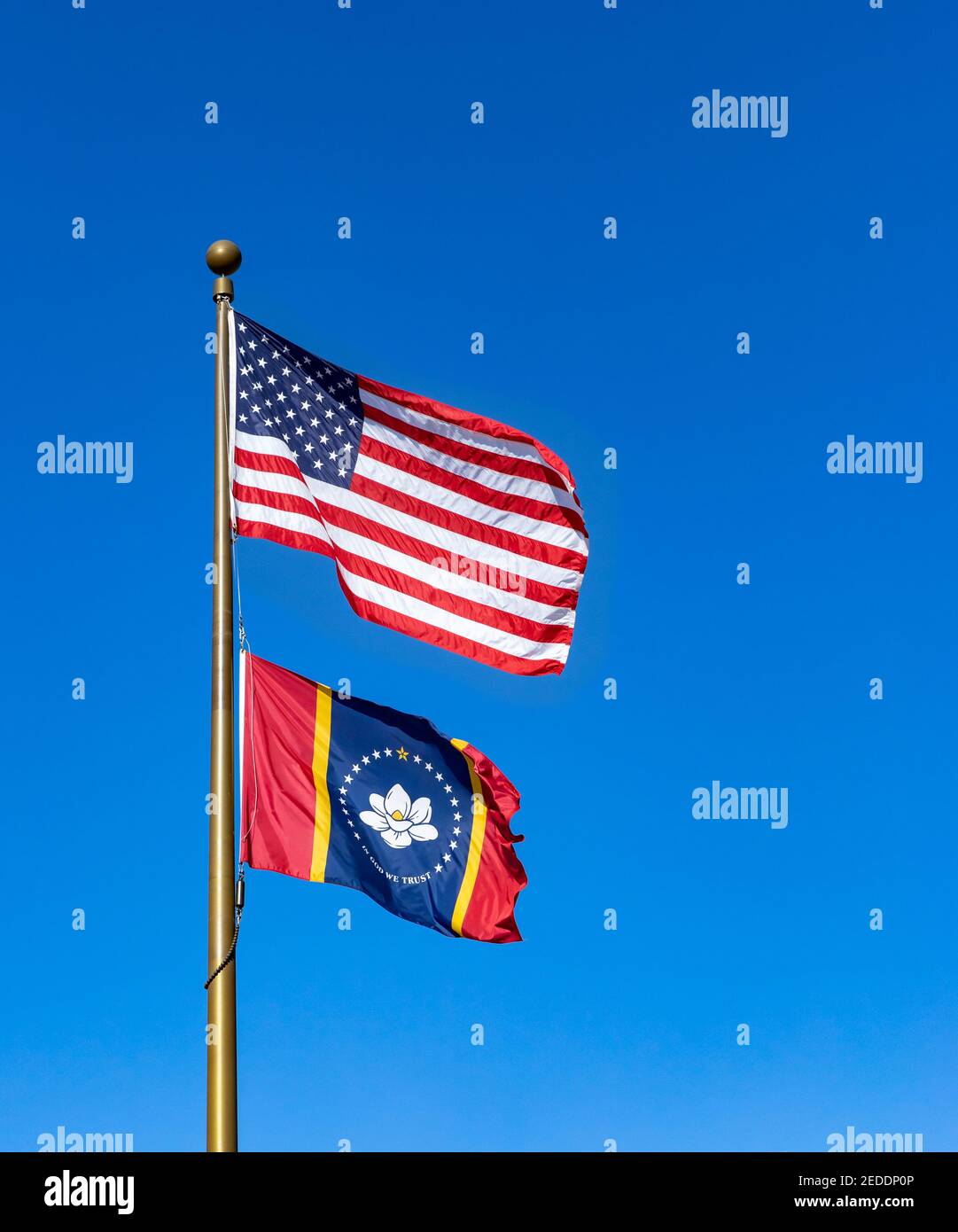 Die Flagge von Mississippi, bekannt als die "in God We Trust"-Flagge oder die New Magnolia, die mit einer amerikanischen Flagge fliegt, wurde 2021 zur neuen Staatsflagge Stockfoto