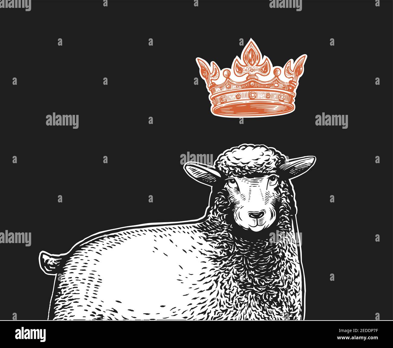 Vektor Stylized Close Up Illustration der Königin Schafe mit einer Krone über dem Kopf und lustig überrascht Gesichtsausdruck. Cartoon-Illustration der Stock Vektor