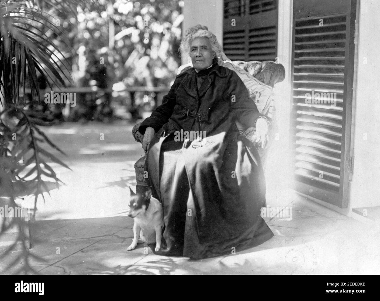 Königin Liliuokalani, Ganzkörperportrait, sitzend, im Freien, mit Hund (ihr Hund Poni), leicht nach links zeigend, um 1917 Stockfoto
