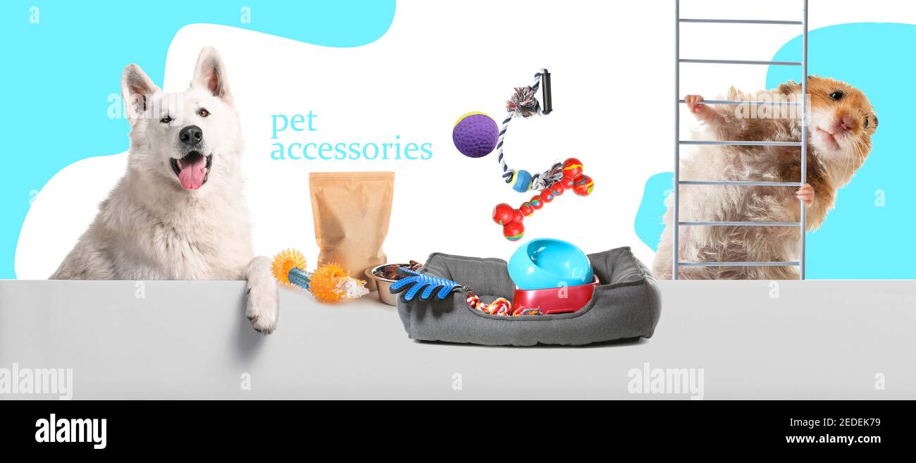 Werbebanner für Heimtierzubehör mit Hund und Hamster Stockfoto
