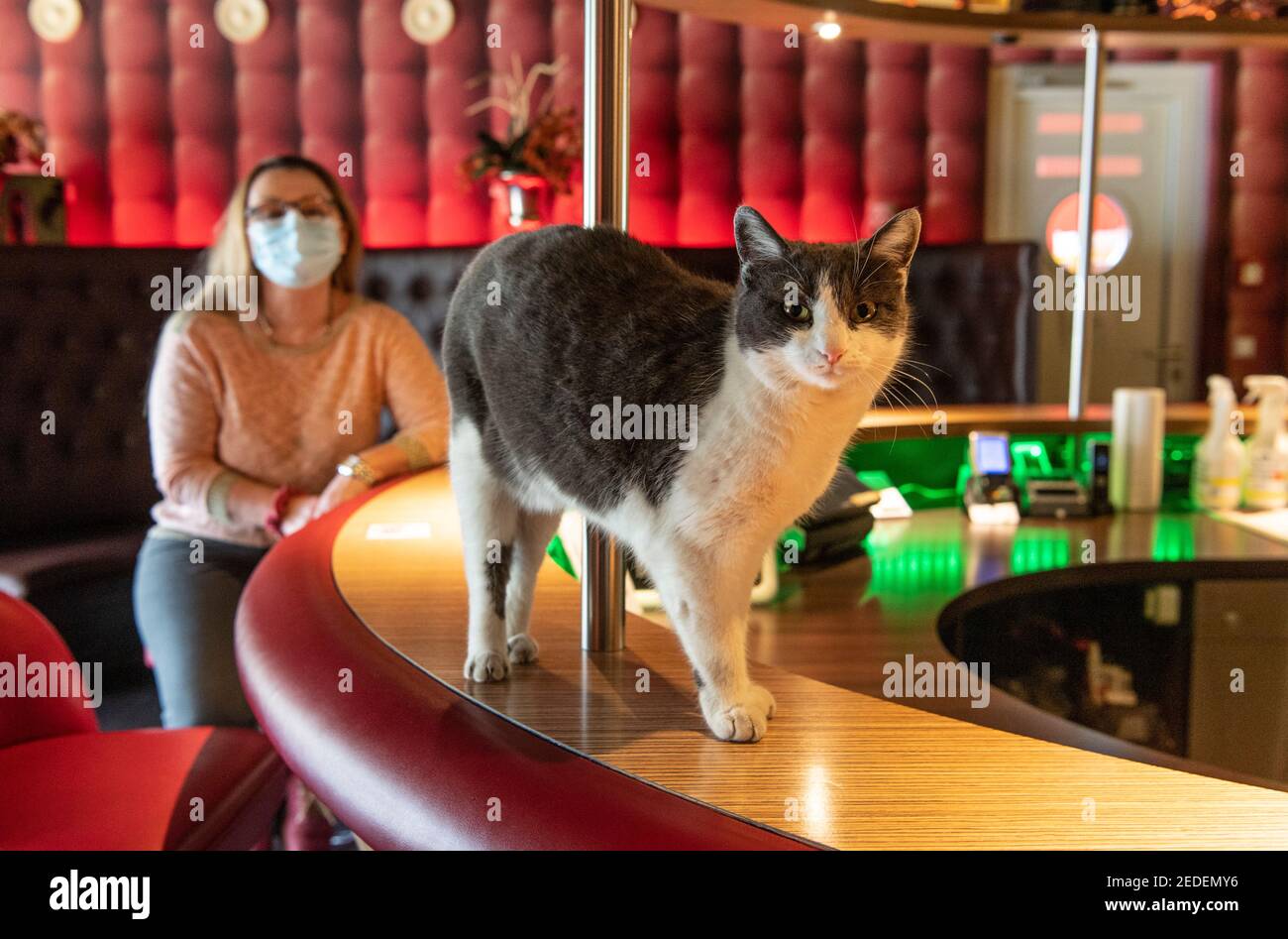 Speyer, Deutschland. Januar 2021, 18th. Die Bordellbetreiberin Laura W. sitzt in der verlassenen Bar ihres Establishments "Laura's Girls" in einem Industriepark in Speyer. Wo Prostituierte normalerweise auf Kunden warten, gibt es eine gähnende Leere in der Corona-Sperre. Es ist noch nicht klar, wann Bordelle wieder geöffnet werden dürfen. (To dpa 'Rotlichtgeschäft leidet auch unter der Sperre' vom 15,02.2021') Quelle: Boris Roessler/dpa/Alamy Live News Stockfoto