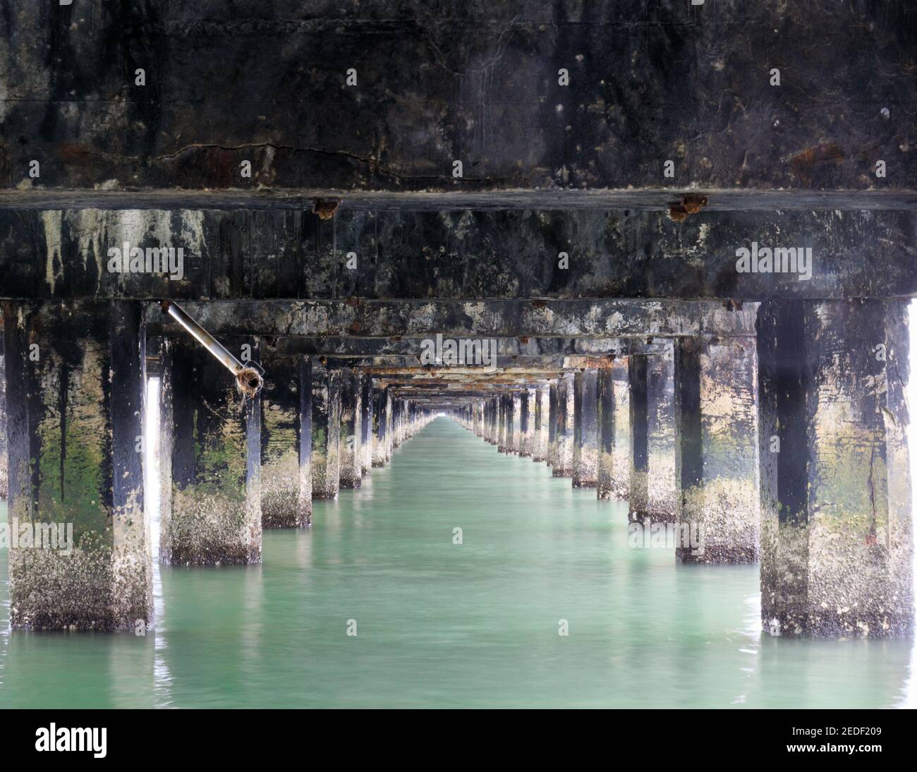 Unter Berkeley Pier Stockfoto