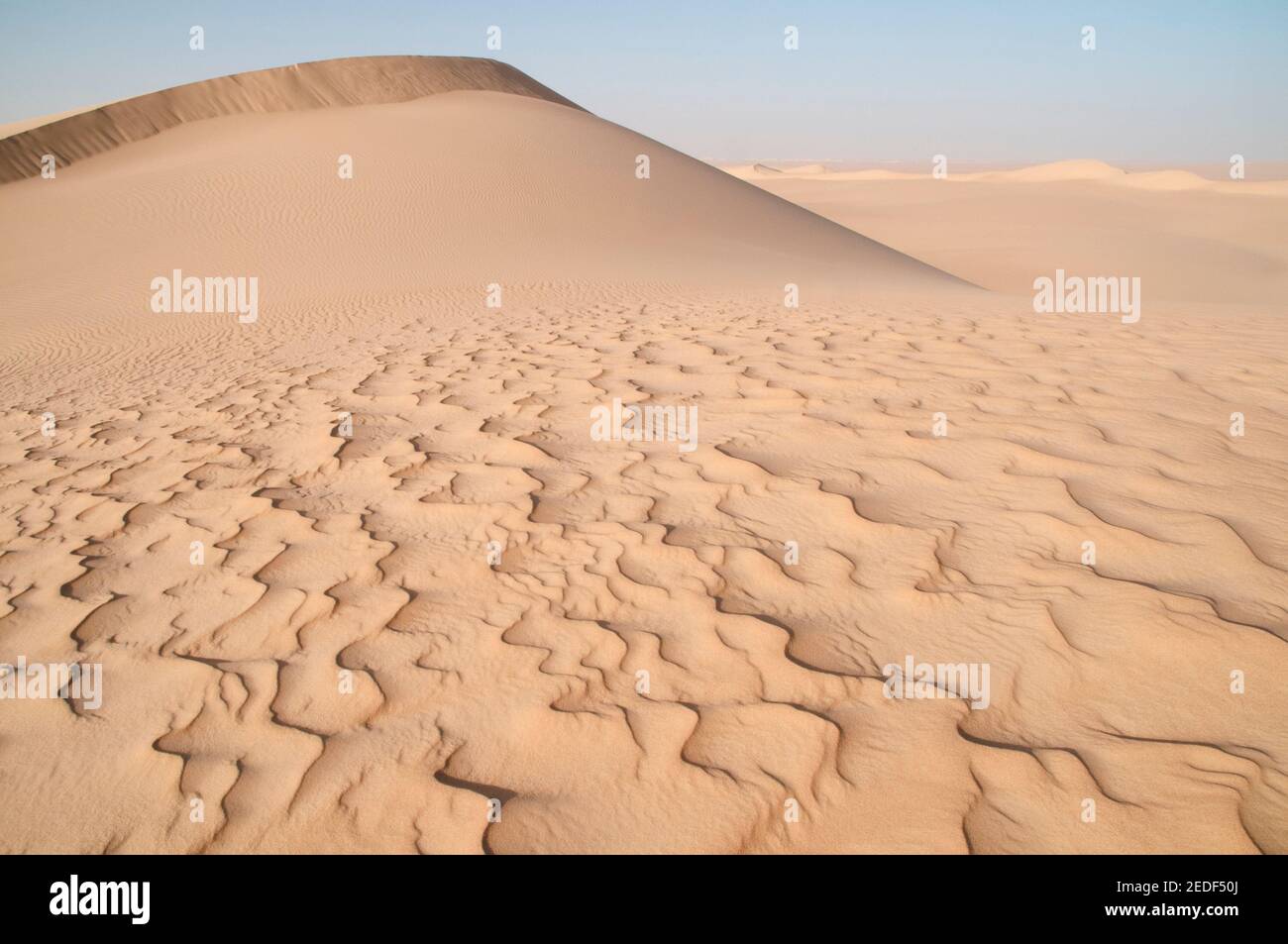 Eine riesige whaleback-Sanddüne, die sich über das große Sandmeer erstreckt, in der westlichen Wüstenregion der Sahara in Ägypten. Stockfoto