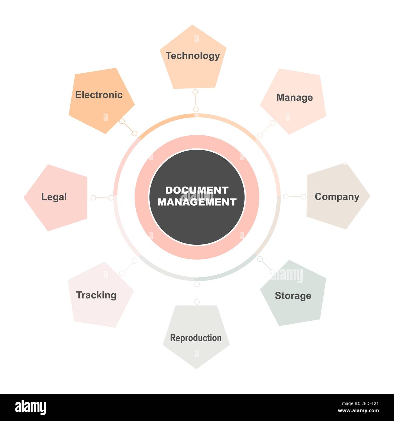 Diagrammkonzept mit Document Management Text und Schlüsselwörtern. EPS 10 isoliert auf weißem Hintergrund Stock Vektor