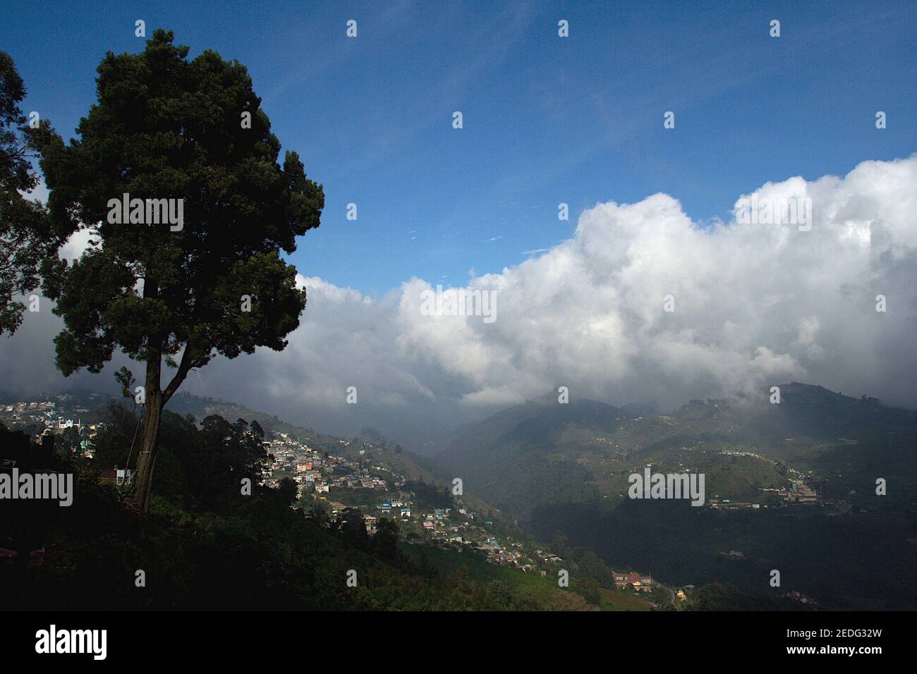 Blick auf Bäume, Hügel, Township, Himmel und Wolken vom Pillar Rock Point am Kodaikanal in Tamil Nadu, Indien, Asien Stockfoto