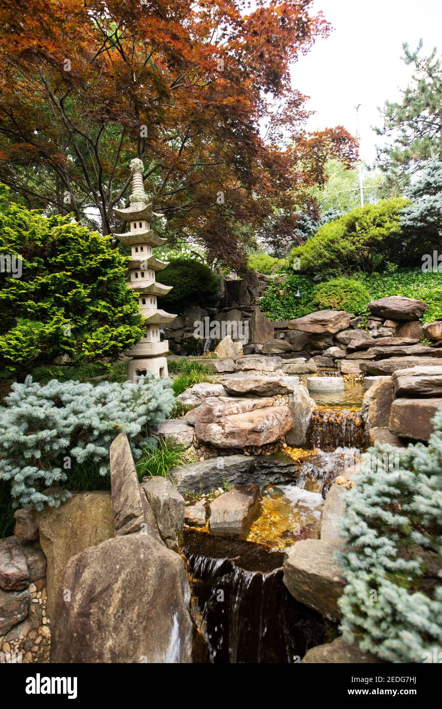 Der japanische Garten in Hillwood, dem Anwesen der Marjorie Merriweather Post in Washington, DC, USA. Stockfoto