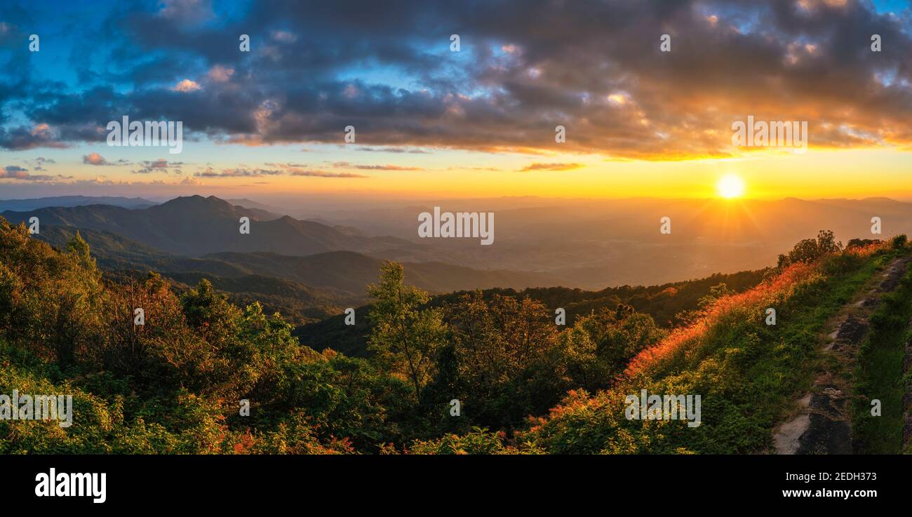 Tropischer Wald Natur Landschaft Sonnenuntergang mit Bergkette am Doi Inthanon, Chiang Mai Thailand Panorama Stockfoto