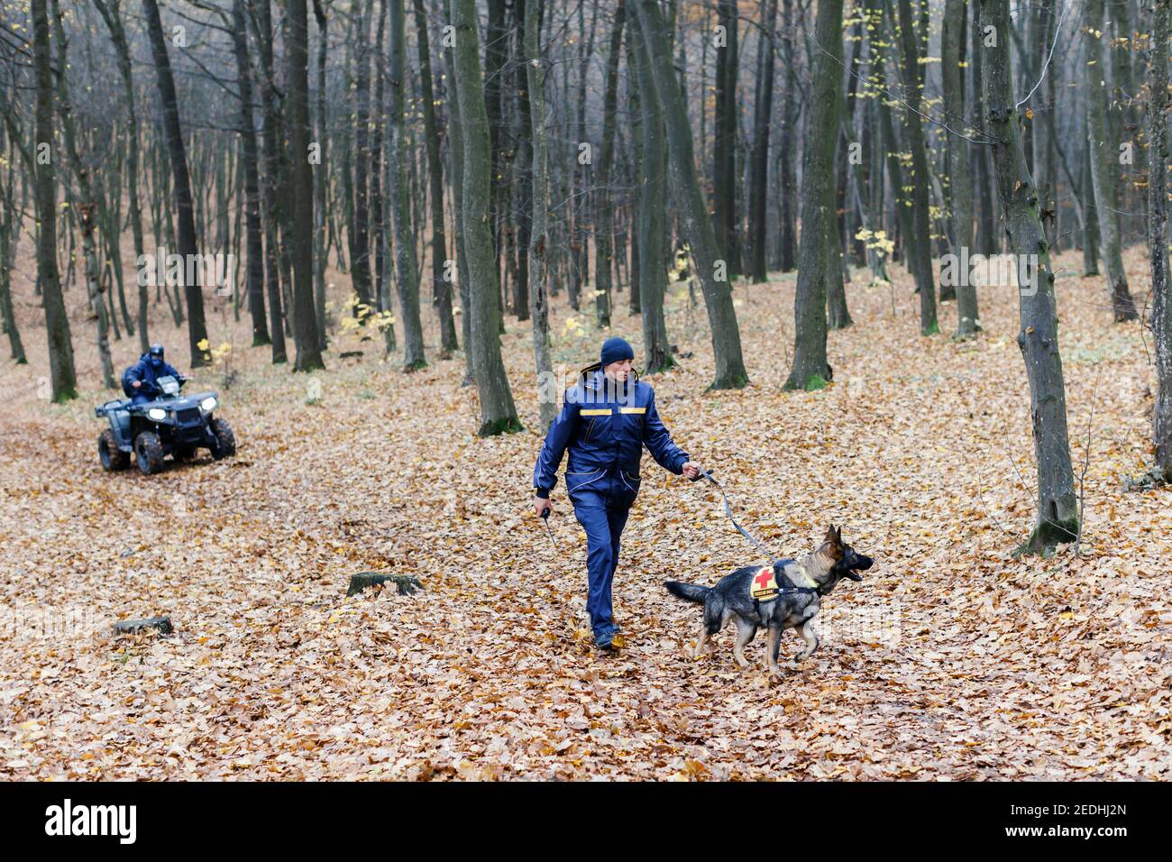 Ein Retter mit einem Hund an der Leine sucht im Wald, ein Retter auf einem ATV sucht auch. Suche nach einem Mann im Wald Stockfoto