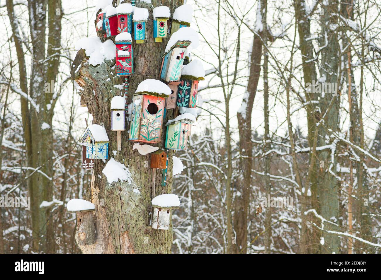 Gruppe von schönen bunten hölzernen Vogelhäusern mit Dächern bedeckt Bei Schnee im Wald oder Park im Winter Stockfoto