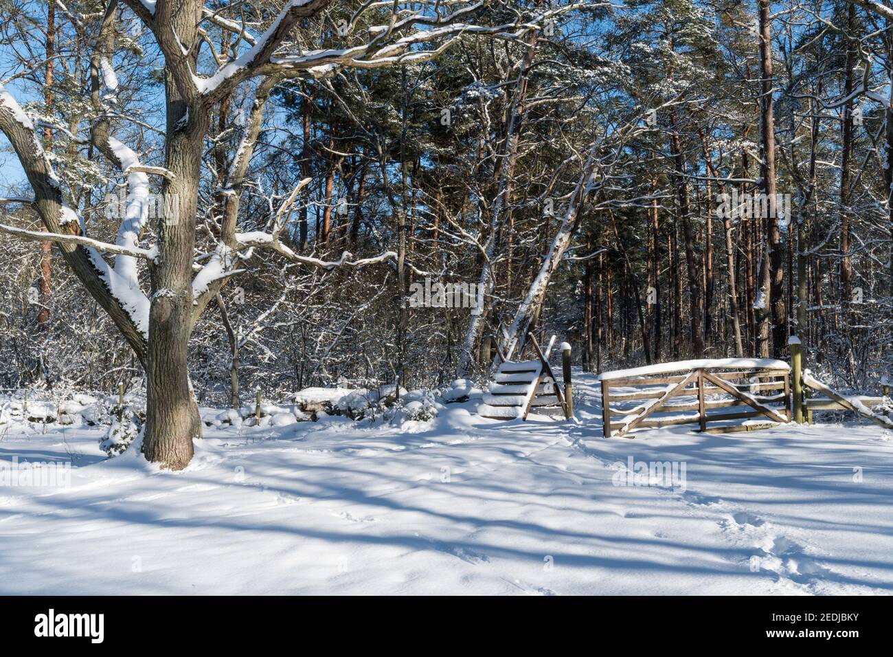 Stile und Tor in ein Wald Winterland Stockfoto