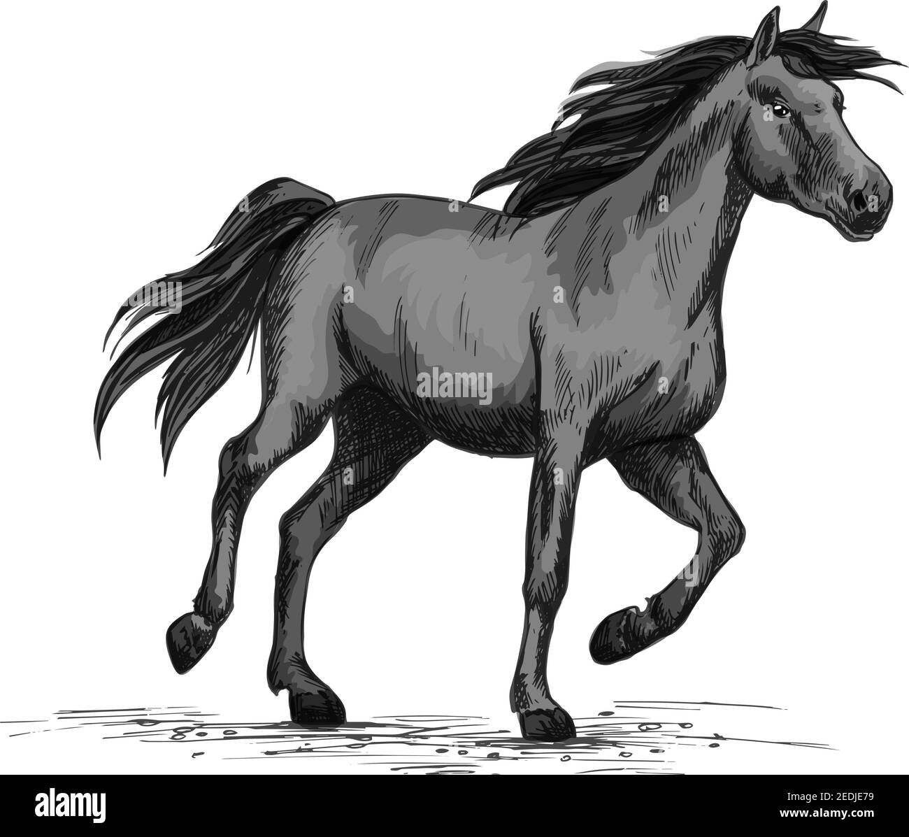 Pferderennen auf Sportrennen. Wild schwarz Rennpferd Mustang läuft schnell Galopp. Pferderennen Vektor Symbol Skizze für Pferd oder Reitausstellung oder Stock Vektor