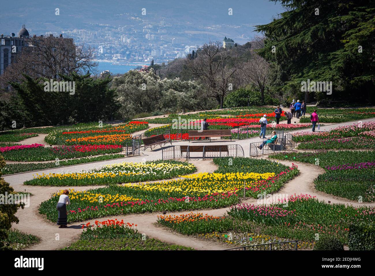 Die Tulpenparade im Nikitski Botanischen Garten Jalta am 07. April 2018. Die Menschen gehen zwischen den bunten Blumenbeeten spazieren, machen Fotos von Blumen. C Stockfoto