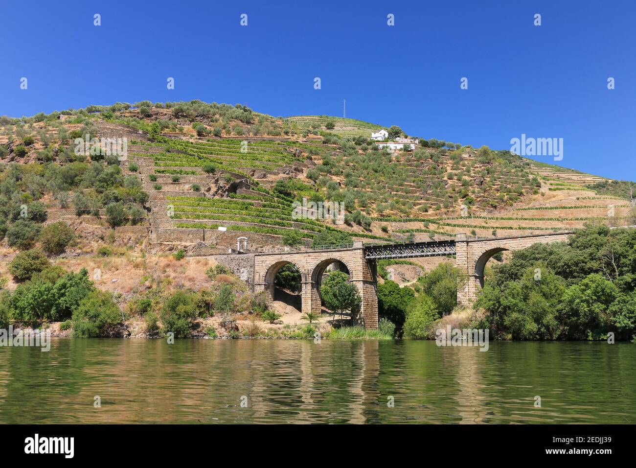 Blick vom Douro-Tal auf die Weingärten auf den Hügeln, die berühmten Portwein produzieren, Porto, Portugal Stockfoto