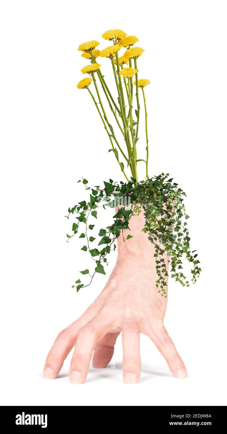 Gelbe Blume in der falschen Seite einer Hand - menschliche Handvase, isoliert mit Schatten Stockfoto