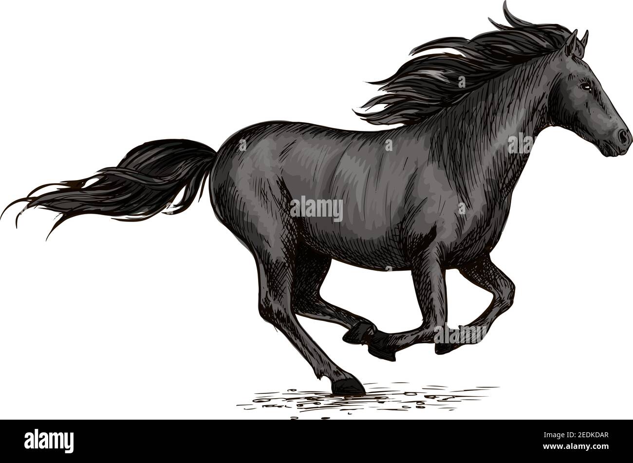 Pferderennen auf Rennen. Wildes schwarzes Rennpferd Mustang galoppiert schnell. Pferderennen Sport Vektor-Symbol. Pferdestute rast in Freiheit Stock Vektor