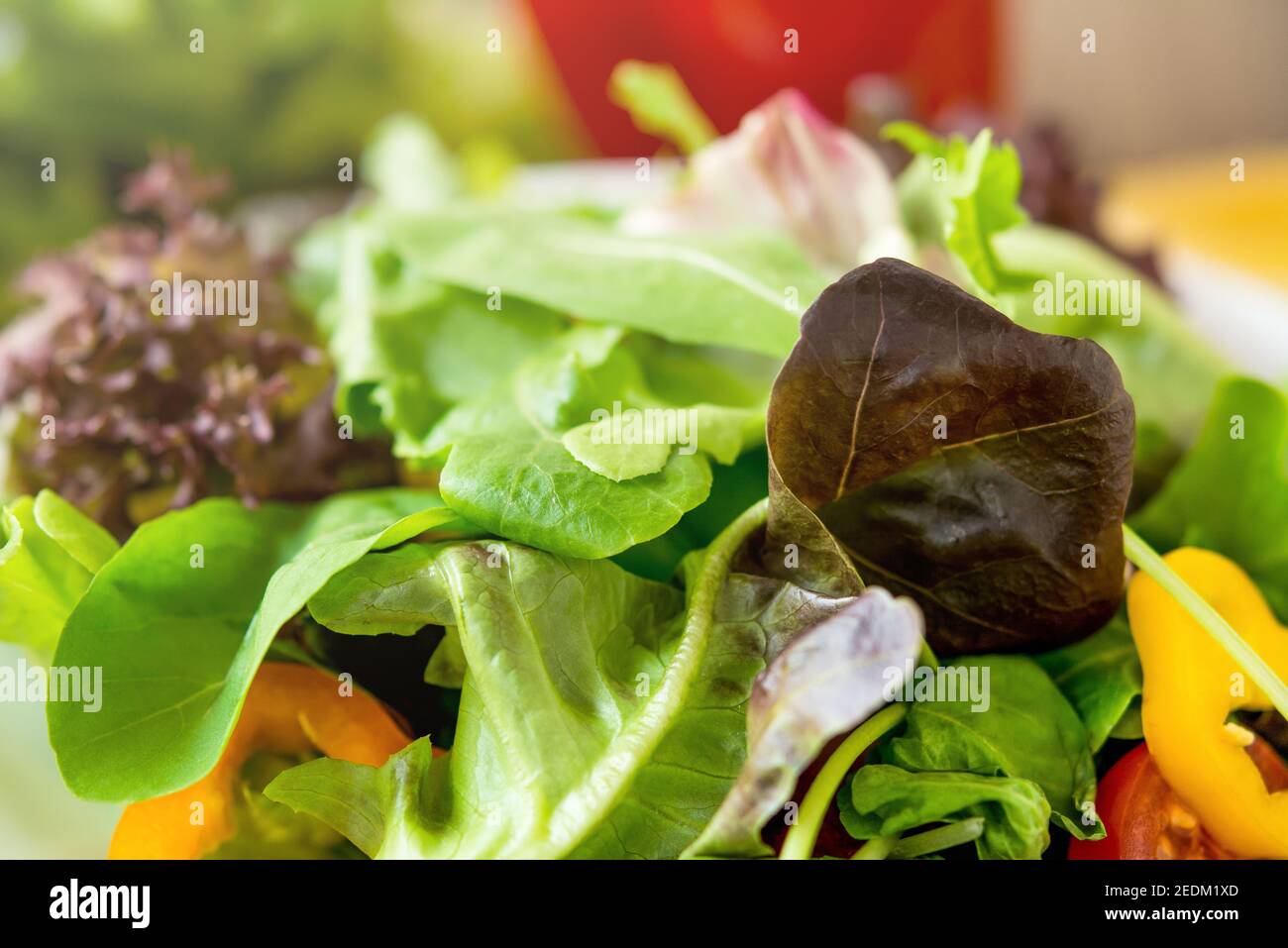 Nahaufnahme von bunten gesunden frischen Gemüsesalat Stockfoto