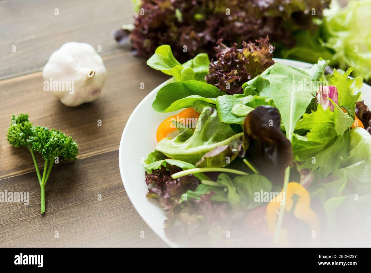 Bunte gesunde frische Mischung Gemüsesalat in weißen Teller auf Holztisch Stockfoto