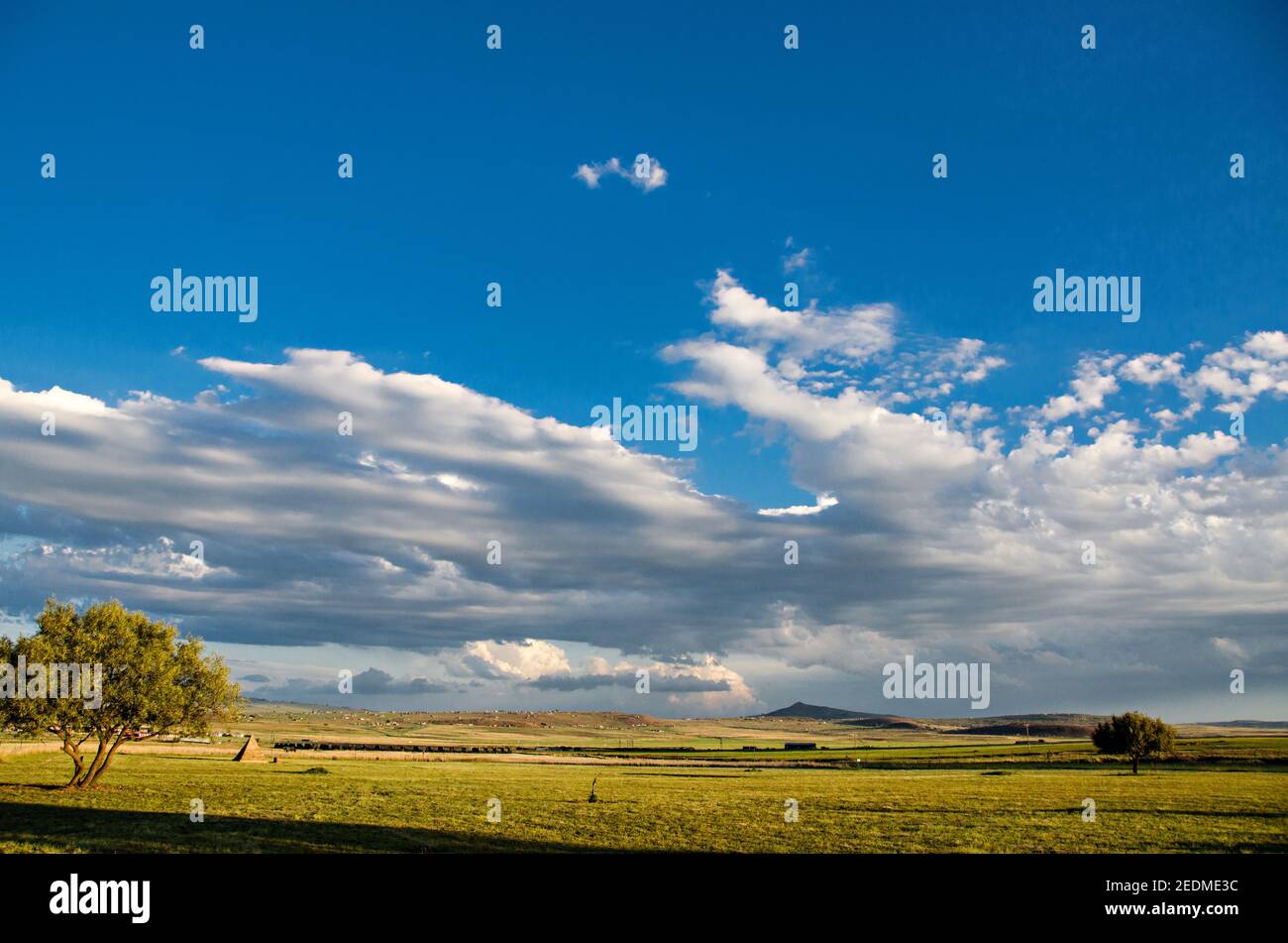 Heller sonniger Tag mit blauem Himmel und Wolken über einem Schönes grünes Feld mit Bäumen und Hügeln im Hintergrund Stockfoto