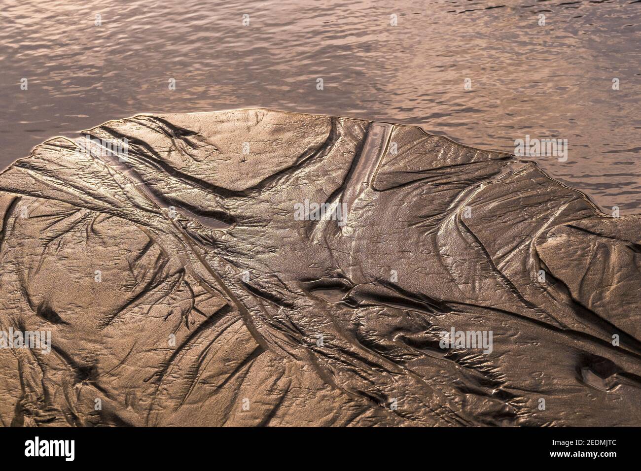 Wasserflecken, die durch eine zurücktretende Flut im Sand hinterlassen werden. Stockfoto